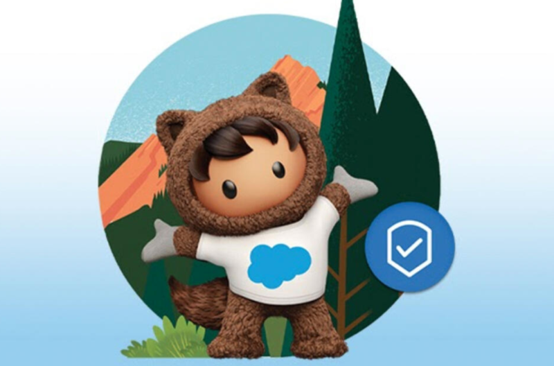 SalesForce user character